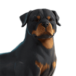 EsDeeKid's Cerberus Sidekick